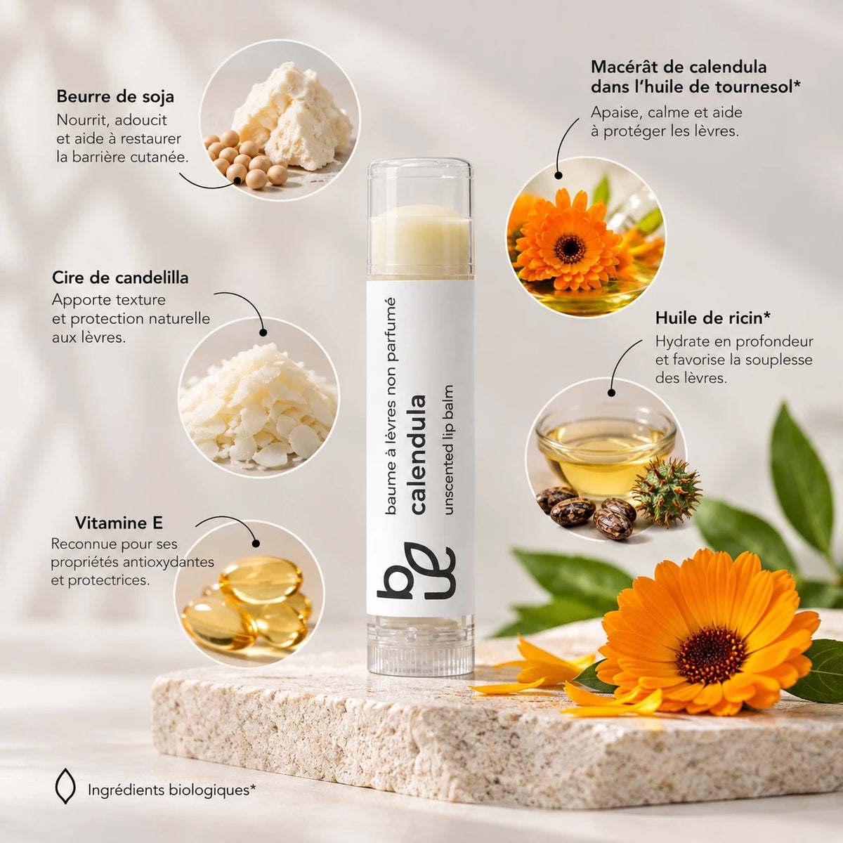 Présentation des ingrédients contenus dans le baume à lèvre non parfumé Base Botanique