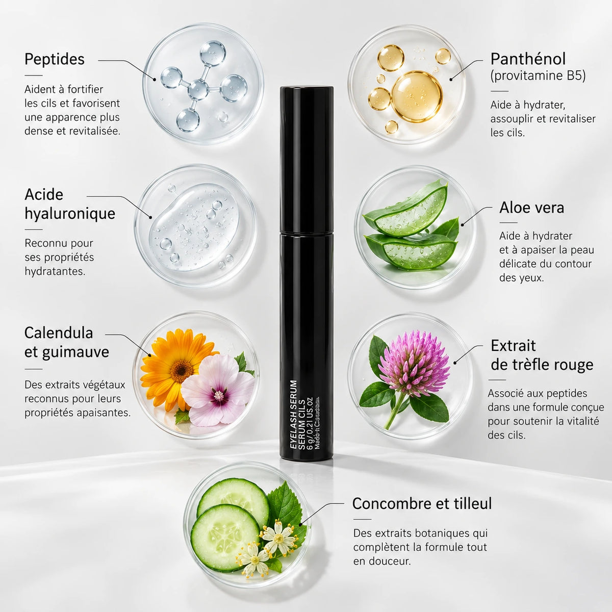 Présentation des ingrédients contenus dans le sérum à sourcils et à cils Sibelle
